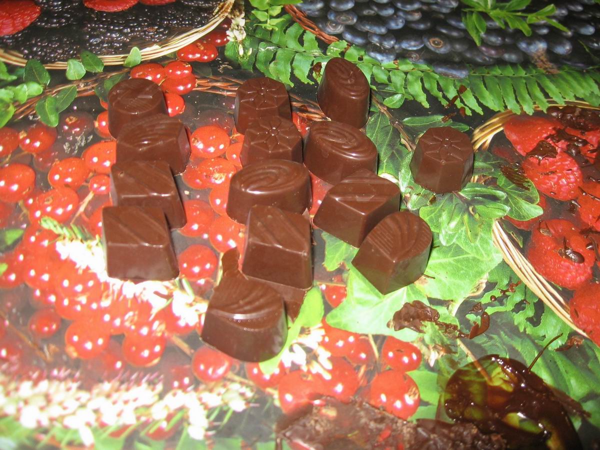 סדנאת שוקולד של מוטי (מוטקייקס) בטל-אל 28.4.08
